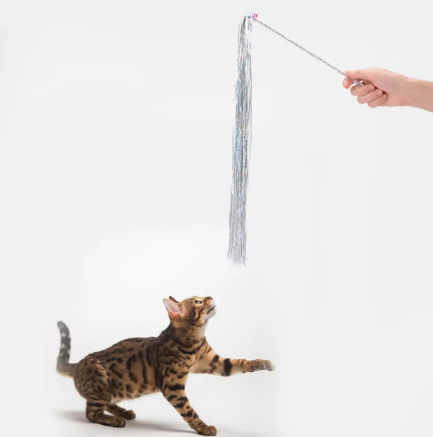 Teaser Tassel Toy For Cats
