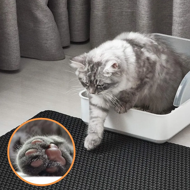 Honeycomb Cat Litter Mat