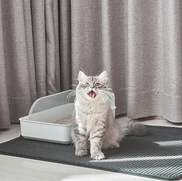 Honeycomb Cat Litter Mat