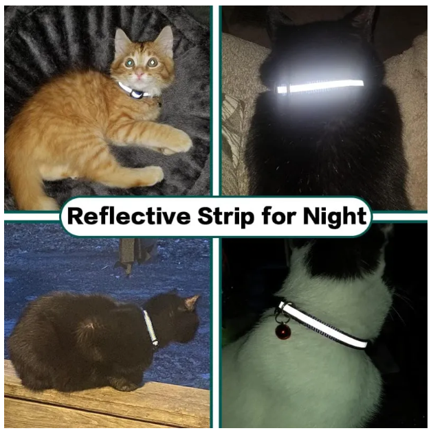 Kitten Collar With Breakaway Buckle And Airtag Holder