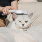 Self Cleaning Pet Hair Brush Comb For Cats And Kittens