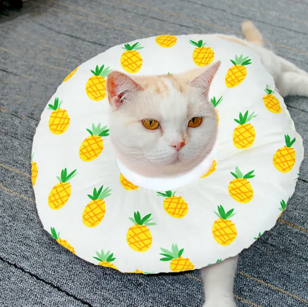 Soft Sponge Cat Recovery Collar