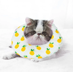 Soft Sponge Cat Recovery Collar