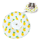Soft Sponge Cat Recovery Collar