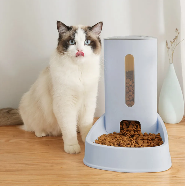 Food Dispenser For Cats
