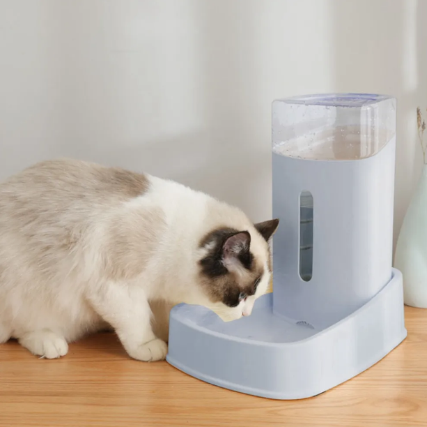 Food Dispenser For Cats