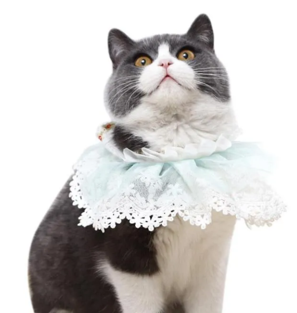 Lace Cat Bandana