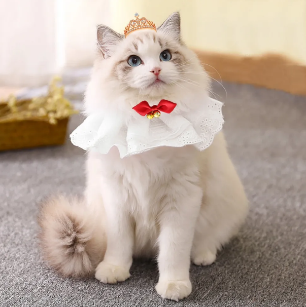 Lace Adjustable Collar For Cat