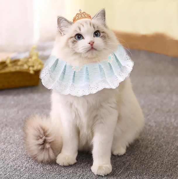 Lace Adjustable Collar For Cat