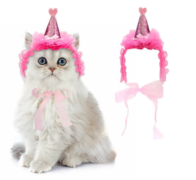 Costume Headband For Cat