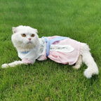 Cat Cosplay Costume