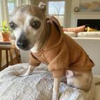 Winter Dog Hoodie Sweatshirts With Pockets Warm Dog Clothes