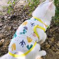 Tutu Skirts For Dogs