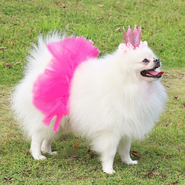 Tutu Skirts For Dogs
