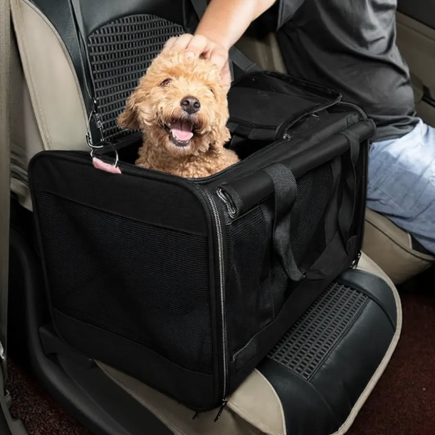 Cat and dog Carriers For Large Cats