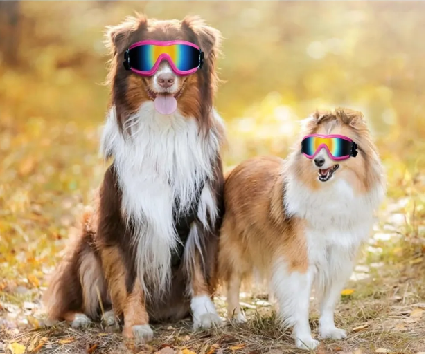 Adjustable Pet Sunglasses Goggles For Dogs