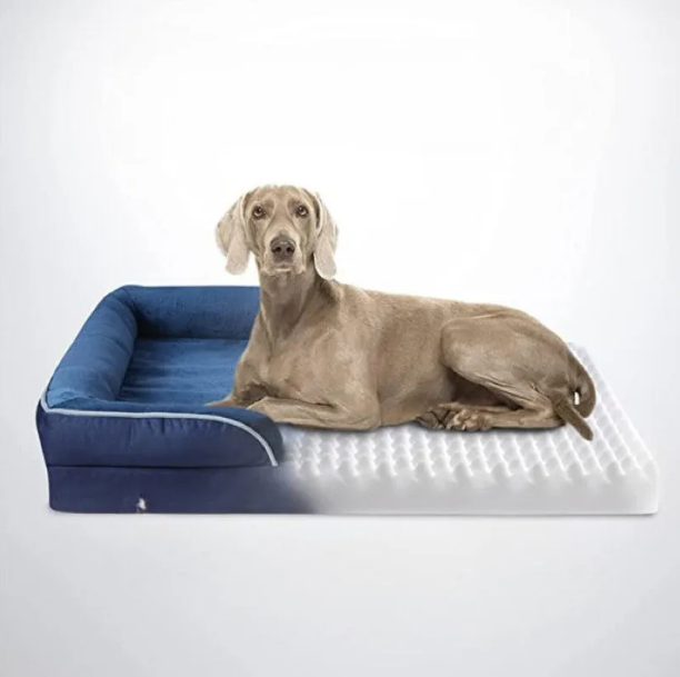 Plush Orthopedic Dog Bed With Bolstered Sides