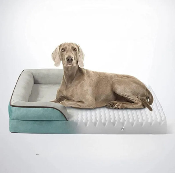 Plush Orthopedic Dog Bed With Bolstered Sides