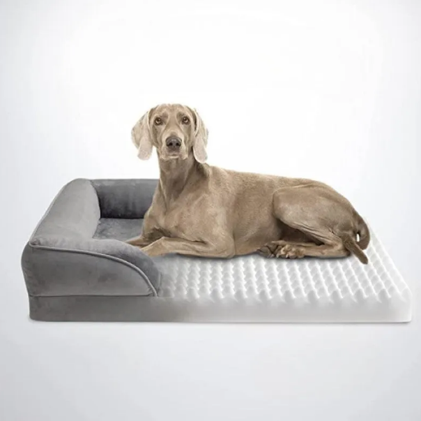 Plush Orthopedic Dog Bed With Bolstered Sides