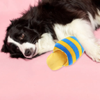 Squeaky Slipper Toy For Dogs