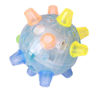 2 Pcs Flashing Toy Set For Dogs