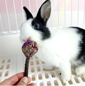 12Pcs Treats For Rabbit
