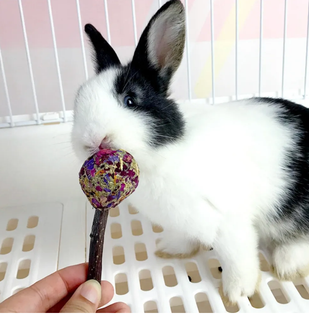12Pcs Treats For Rabbit